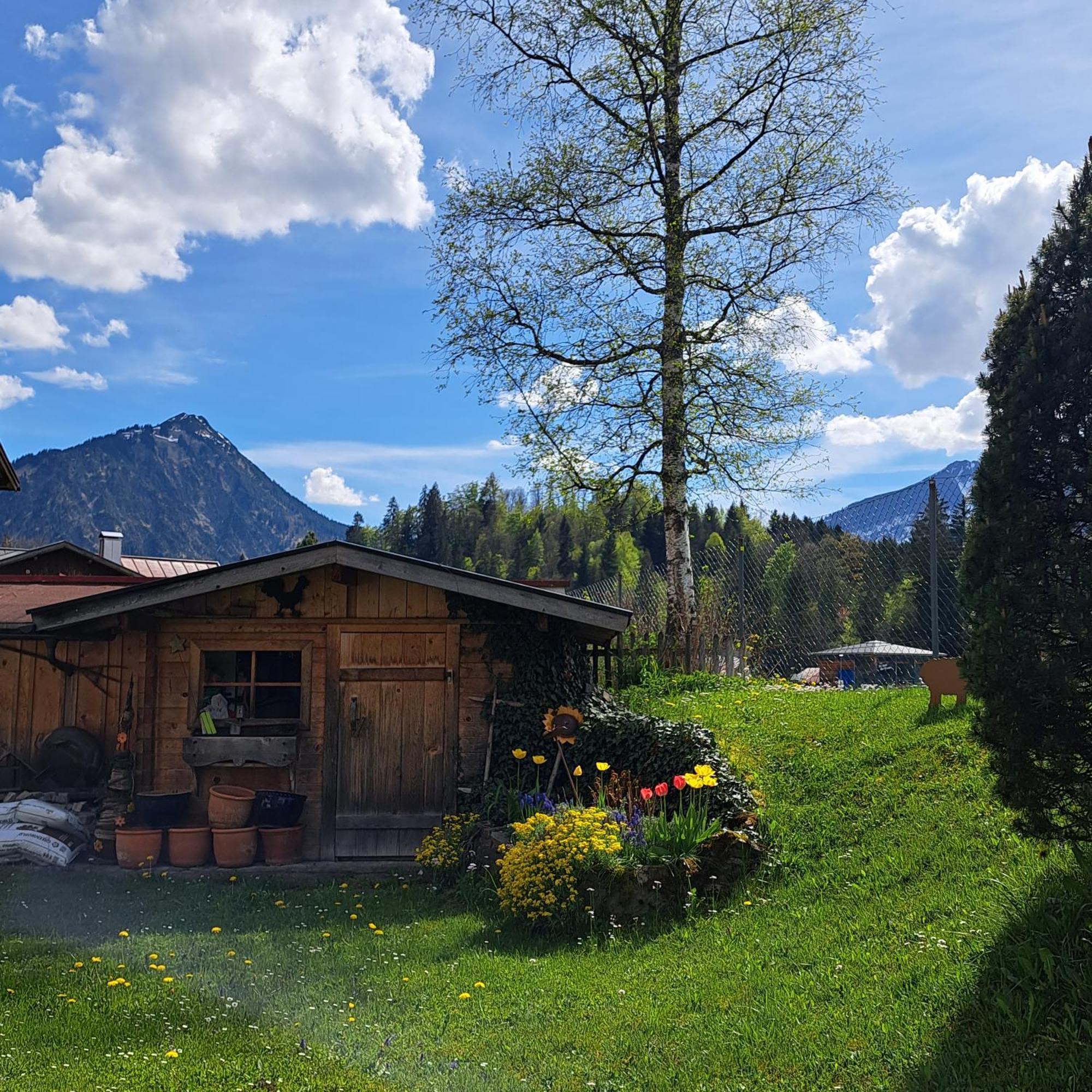 Faltenbach Ferienwohnungen In Oberstdorf Esterno foto